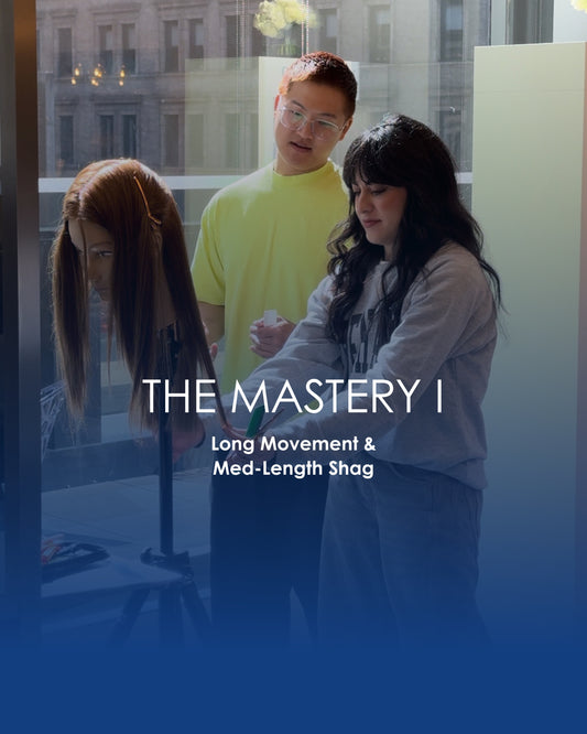 Mastery I